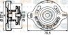 BEHR HELLA SERVICE 8MY 376 742-181 Cap, radiator